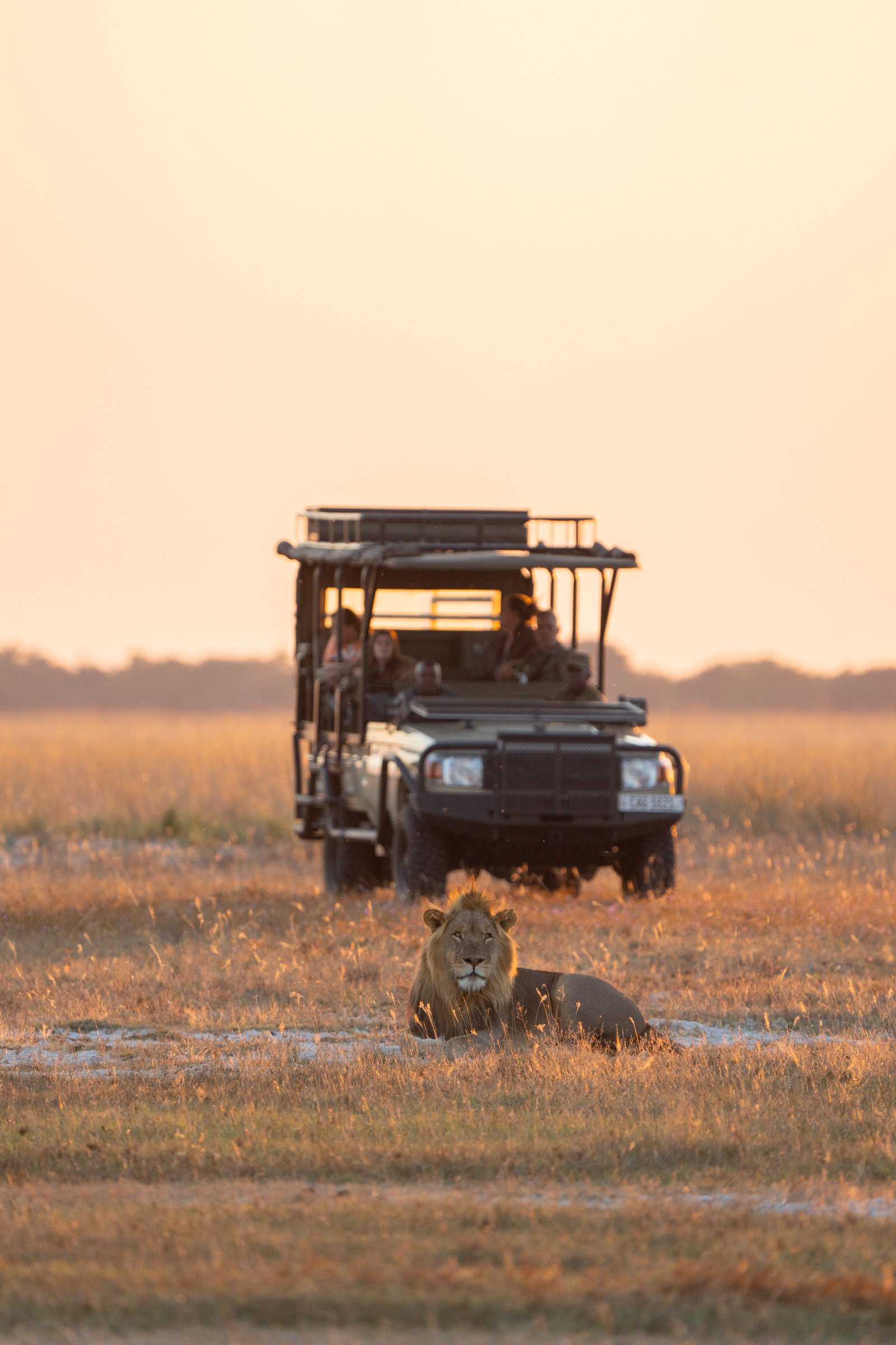 Safari experience Zambia