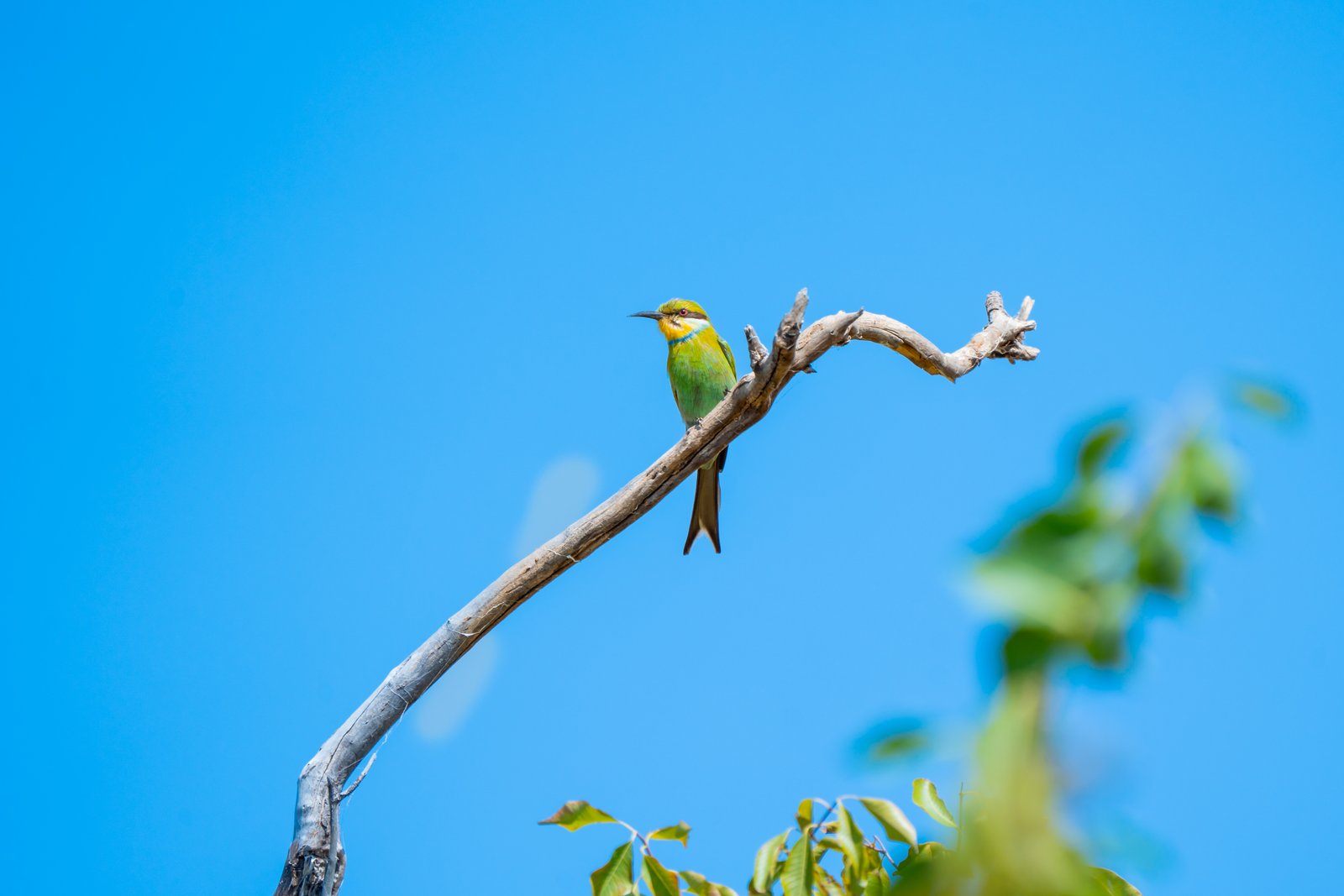 Lower Zambezi National Park